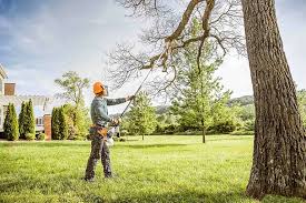 Best Tree Mulching  in Village Of Waukesha, WI